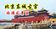 美女啊啊快操我啊啊好大快操我啊啊啊啊视频中国北京-东城古宫旅游风景区